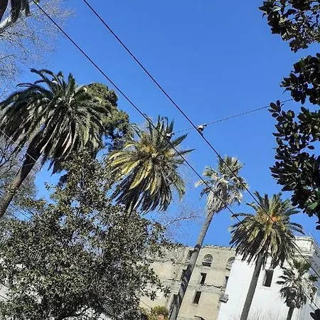 La Dependance Di Marcello Centro Πανσιόν 3*